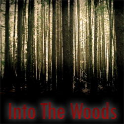 1995 - Into The Woods