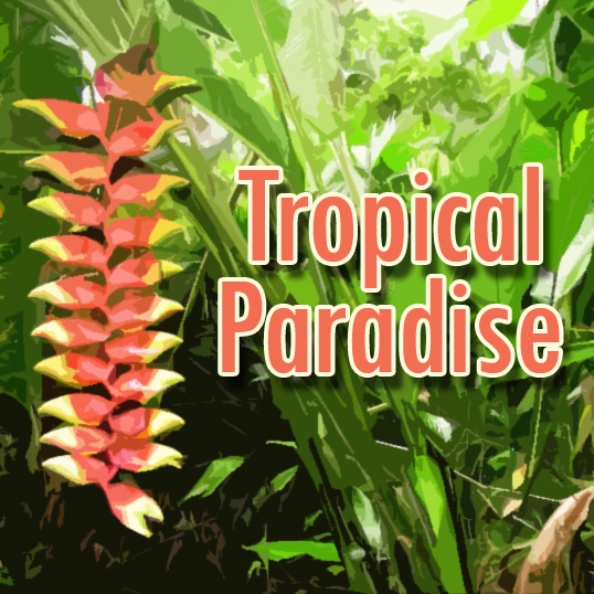 1993 - Tropical Paradise